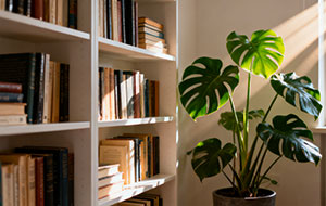 Climate Change Article